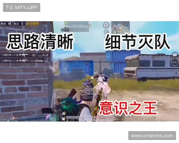 和平精英深度解析：BLG战队的战术意识与团队协作探讨