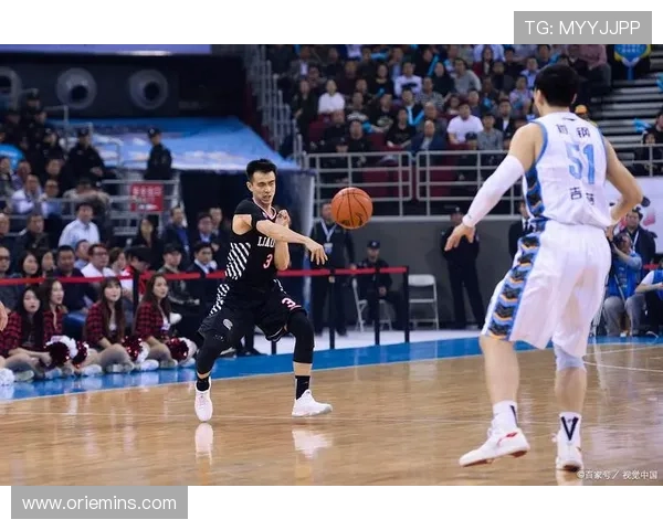 南京沙叶与浙江义乌的精彩对决展现了篮球的魅力与团队的力量