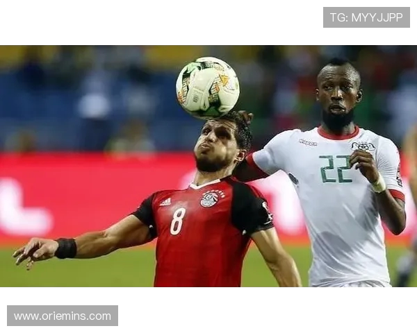 塞内威亚与阿尔及利亚的激烈对决揭示非洲足球的魅力与潜力